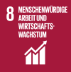 SDG 8