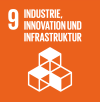 SDG 9