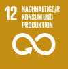 SDG 12